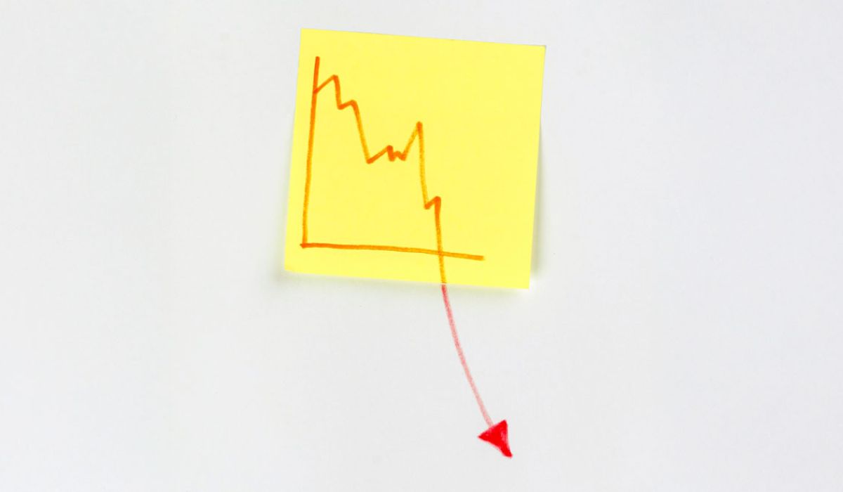 Income and Cashflow